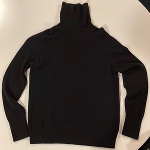 Everlane Cashmere Turtleneck